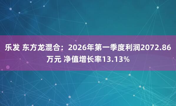 乐发 东方龙混合：2026年第一季度利润2072.86万元 净值增长率13.13%